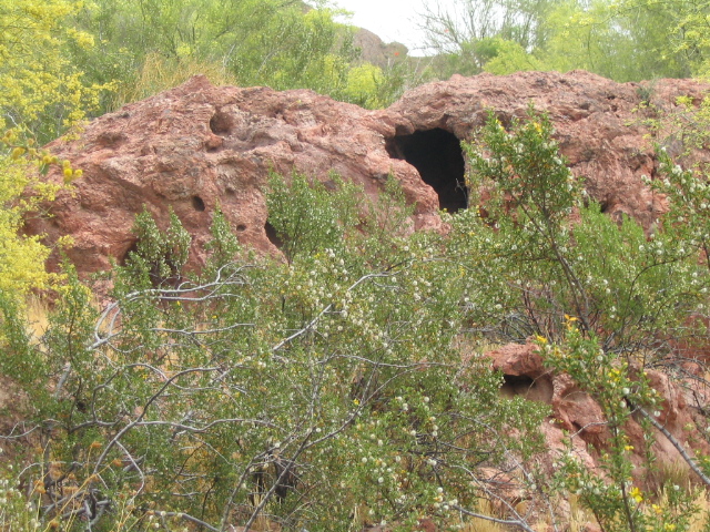 618x457 pixels (292K)